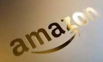 電商軟件亞馬遜無貨源erp貼牌定制,獨立部署定制,包教會,