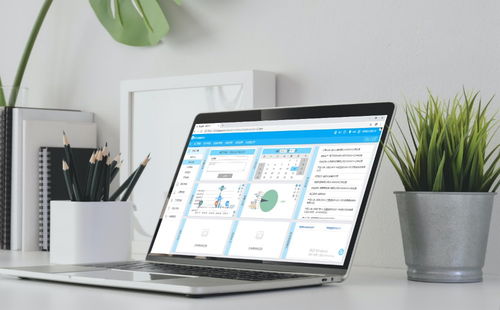 erp軟件開發定做有必要嗎