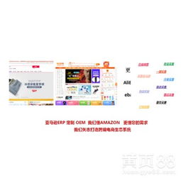 【亞馬遜無貨源erp開發定制貼牌定制獨立部署亞馬遜運營培訓包教會】-