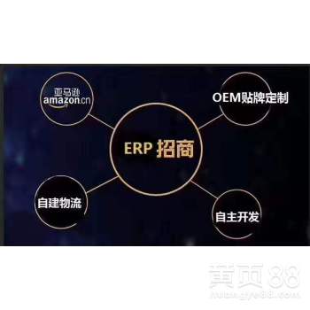 【跨境電商無貨源店群、亞馬遜erp系統(tǒng)代理定制】-